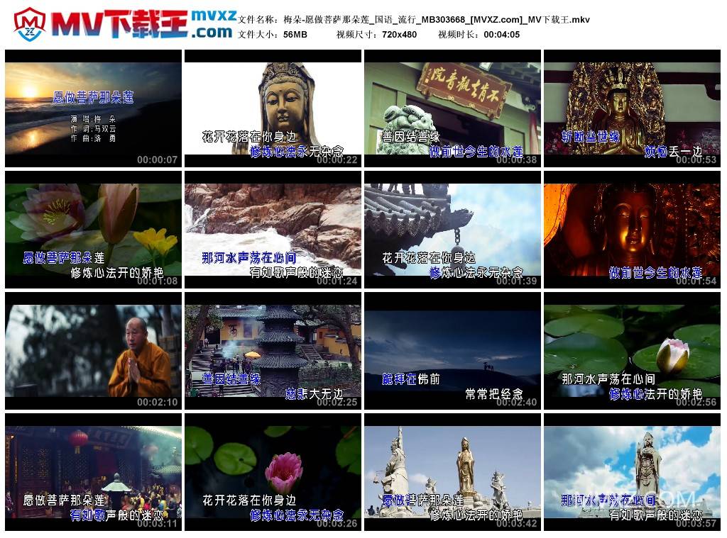 梅朵-愿做菩萨那朵莲_国语_流行_MB303668